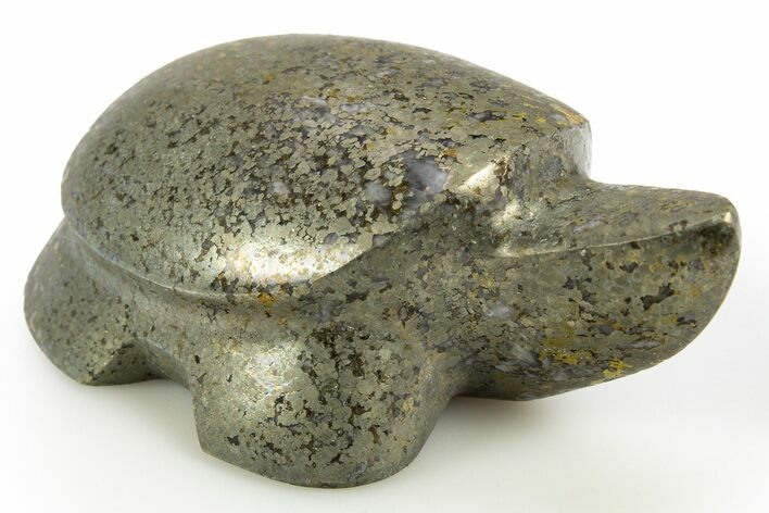 Lustrous Chalcopyrite Turtle - Arizona #311911